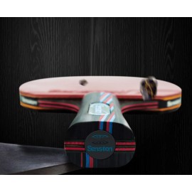 Senston Professional Table Tennis Paddles with Ping Pong Balls, Advance Intermediate Ping Pong Paddles Set of 2, Table Tennis Racket with Balls and Carry Case