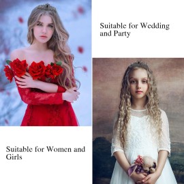 Didder Tiaras for Women, Black Crystal Crowns for Women Princess Crown Tiaras and Crowns for Women Girls Women\'s Headbands Halloween Christmas Bridal Wedding Prom Birthday Party Gift