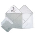 Spasilk Bath Hooded Towels & Washcloths Set for Babies, 2 Hooded Terry Bath Towels & 2 Washcloths, Grey Lion