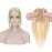 MY-LADY 150% Density Human Hair Toppers Without Bangs For Women 10 Inch (no bangs) 18/613 Light Ash Blonde with Bleach Blonde Silk Base Clip in Toppers Top Hair Pieces for Thinning Hair Hair Loss