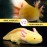 Tiny Heart Axolotl Plush, Axolotl Stuffed Animal, Lifelike Cute Yellow Axolotl Plush Toy, Gifts for Kids, Girls for Gifts 20 Inches Long(Yellow)
