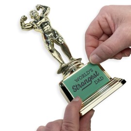 Customizable Dad BOD Trophy - Novelty Funny Humor Gift for Dad, Husband, Boyfriend on Birthday or Fathers Day - 8 H x 3.25 W, Award, Celebrations, Party, Reusable