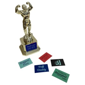 Customizable Dad BOD Trophy - Novelty Funny Humor Gift for Dad, Husband, Boyfriend on Birthday or Fathers Day - 8 H x 3.25 W, Award, Celebrations, Party, Reusable