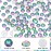 Green Flame Rhinestones Flatback Rhinestone for Crafts Glass Nail Rhinestones Nail Gems Crystals for Makeup Bags Shoes Decoration DIY(SS6,1440pcs,Green Flame)