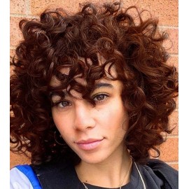 ELIM Dark Brown Curly Wigs for Black Women Short Kinky Curly Brown Wigs for Women Big Curly Afro Soft Wig with Bangs Heat Resistant Natural Cute Synthetic Wig with Accessories Z303BR