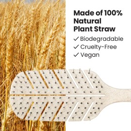 Lindo Eco-Friendly Hair Brush, Detangling, For Wet or Dry Hair & All Hair Types, Anti-Knot Flexible Bristles, Biodegradable Material, Natural, Vegan