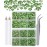 LPBeads 6000 Pieces Light Green Non Hotfix Rhinestones 6 Sizes Round Crystal Glass Flat Back Rhinestones with Tweezers and Picking Pen for Nail Art Crafts Bags DIY