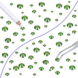 LPBeads 6000 Pieces Light Green Non Hotfix Rhinestones 6 Sizes Round Crystal Glass Flat Back Rhinestones with Tweezers and Picking Pen for Nail Art Crafts Bags DIY LPBeads 6000 Pieces Light Green Non Hotfix Rhinestones 6 Sizes Round Crystal Glass Flat Back Rhinestones with Tweezers and Picking Pen for Nail Art Crafts Bags DIY