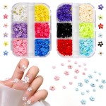 2 Boxes 3D Flower Nail Charms for Acrylic Nails,12 Colors 3D Nail Flowers Rhinestone with Gold Silver Pearl Caviar Beads,Spring Flower Mixed Nail Art Craft Design DIY Nail Decoration for Women Girls