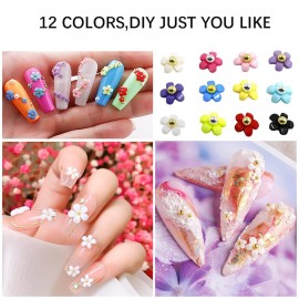 2 Boxes 3D Flower Nail Charms for Acrylic Nails,12 Colors 3D Nail Flowers Rhinestone with Gold Silver Pearl Caviar Beads,Spring Flower Mixed Nail Art Craft Design DIY Nail Decoration for Women Girls