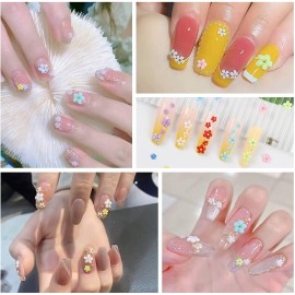 2 Boxes 3D Flower Nail Charms for Acrylic Nails,12 Colors 3D Nail Flowers Rhinestone with Gold Silver Pearl Caviar Beads,Spring Flower Mixed Nail Art Craft Design DIY Nail Decoration for Women Girls