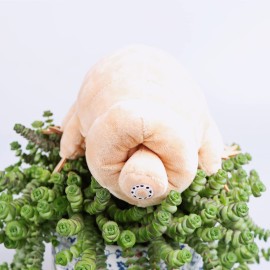 Marble Empire Tardigrade Plush Waterbear Stuffed Animal Water Bear Sea Creature Plush Toy, 9