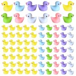 Tindobewan 100 PCS Tiny Ducks Mini Resin Ducks Miniature Duck Figures Ornament for Craft, Garden, Aquarium, Home DecorationsMulti Color