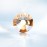 Novani Golden Shadow Rhinestones 1440pcs Flat Back Round Rhinestone Style 2088 Sparkly Crystal Gemstones for Nail Art and Crafting SS8,2.3-2.5mm