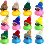 Chivao 12 Pcs Mini Rubber Ducks with Sunglasses/ Glasses and Hats/ Necklace, Cruise Rubber Ducks in Bulk Valentines Day Gift Small Bathtub Toy for Hiding Party Favor(Fresh Color,Vivid Style)