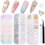 3D Flowers Nail Art Charms Rhinestones Kit - Includes 12Grid 400Pcs Acrylic Flower 1500Pcs AB Nail Rhinestones 200Pcs Acrylic Butterfly Bow Flower Bear Nail Art Charms for Nail Art Craft Decoration