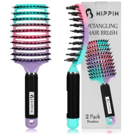 Hair Brushes for Women 2 Pack, HIPPIH Detangler Hair brush for Adult & Kids Wet or Dry Hair, Boar Bristle Hair Brush Getting Knots Out without Pain Adds Shine and Makes Hair Smooth