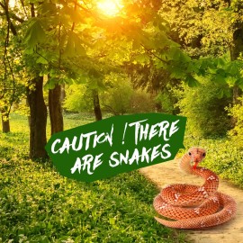 HyDren Giant Boa Constrictor Large Stuffed Animal Snake Realistic Giant Plush Stuffed Snake Toy 80 Inch Lifelike Animal Gifts for Kids Birthday Party Prank Props(Brown)