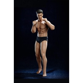 1/12 Scale Male Action Figure,6inch Male Super-Flexible Seamless Action Figure Body Doll Collection(TM01A Normal Version)