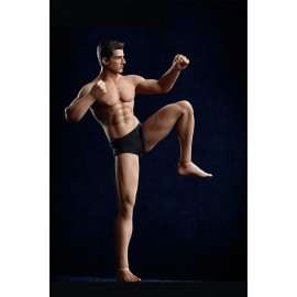 1/12 Scale Male Action Figure,6inch Male Super-Flexible Seamless Action Figure Body Doll Collection(TM01A Normal Version)