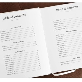 Baby First Year Book - Heirloom Keepsake Baby Memory Book to Record Important Milestones, Photos & More - Pregnancy Books (Sky Blue,112 Pages)