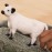 Schleich Farm World Realistic Galloway Cow Figurine - Highly Detailed and Durable Farm Animal Toy, Fun and Educational Play for Boys and Girls, Gift for Kids Ages 3+