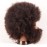 Newshair Male Mannequin Head for Braiding 4C Type 100% Human Hair 8 Afro Curly Hair Hairdresser Training Head African Cosmetology Doll Head for Styling Cornrow Braiding with Clamp Stand
