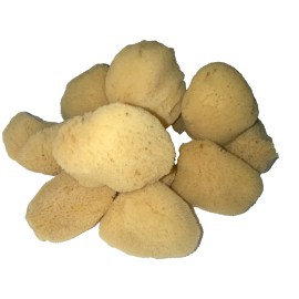 Soft Natural 6 Silk Sponges 1.5-3 Cosmetic Makeup Application Removal Face Eye Nail Cleaning Like Cotton Balls Awesome Aquatic Creating The Perfect Home Bath & Shower Experience