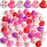 Jerify 24 Pcs 2 Inch Rubber Duckies Bulk Small Heart Rubber Ducks for Pool Bathtub Toys Classroom Prizes Birthday Party Favors Gifts Goodie Bag Fillers, 6 Styles