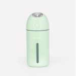 Hey Dewy Wireless, Rechargeable, Self-Care, Skin-Nourishing, Hydrating, Portable Cool Mist Humidifier (Sage)