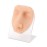 SimCoach Soft Silicone Face Model with Acrylic Stand, Piercing Practice Body Parts, Piercing Face Model for Jewelry Display