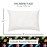 Little Sleepy Head Toddler Pillow with Pillowcase 13x18 - Kids Pillow for Sleeping - Better Neck Support Ergonomic Pillow and Toddler Pillowcase - Best Pillows for Kids (Space \'N Rockets)