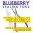Big Kizzy Blueberry Tape Hair Extension Sealing Tool - Pressing Tool for Human Hair Extensions to Extend Wear Time