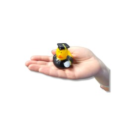 Cool Holiday Rubber Ducks (2) Standard Size. (12 Pack) Cute Duck Bath Tub Pool Toys. (Graduation Rubber Ducks)