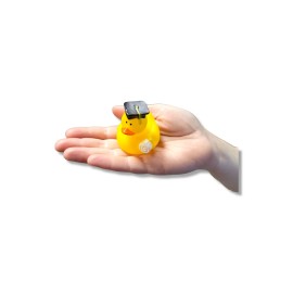 Cool Holiday Rubber Ducks (2) Standard Size. (12 Pack) Cute Duck Bath Tub Pool Toys. (Graduation Rubber Ducks)