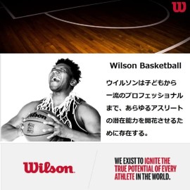 WILSON NBA Forge Pro UV Indoor/Outdoor Basketball - Size 7-29.5, Sand