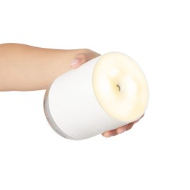 Plum Beauty Portable Facial Steamer, 2 Settings - USB Powered, Hydrate & Revitalize Skin, Up to 12 Hours of Use