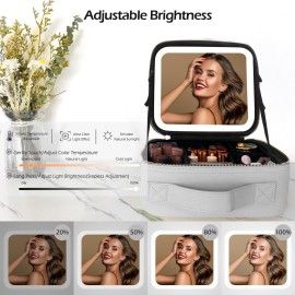 MOMIRA Makeup Bag with Mirror and Light Travel Makeup Train Case Cosmetic Bag Organizer Portable Artist Storage Bag with Adjustable Dividers Makeup Brushes Storage Organizer Silver