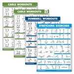 4 Pack - Cable Machine Workout Posters Volume 1 & 2 + Dumbbell Exercises + Stretching Exercises (LAMINATED, 18 x 24)