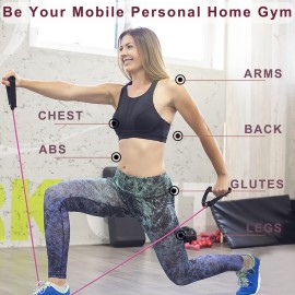 Resistance Bands with Handles, Single Resistance Bands, Exercise Bands with Handles, for Resistance Training, Physical Therapy, Home Workouts, Fitness, Pilates, Boxing Strength Training (40lbs)