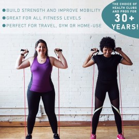 Resistance Bands with Handles, Single Resistance Bands, Exercise Bands with Handles, for Resistance Training, Physical Therapy, Home Workouts, Fitness, Pilates, Boxing Strength Training (40lbs)