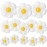 NOVWANG Daisy Balloons, 18pcs White Daisy Flower Balloons Party Decorations for Birthday Wedding Baby Shower Party Decorations SuppliesHuge Balloon X 3, Medium X 5, Small X 10