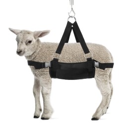 BRINGERPET Calf Sling for Weighing 19*16 inch, Up to 200 LB Assist Weight Scale for Baby Calf, Lamb, Alpaca, Dog