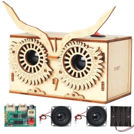 DIY Bluetooth Speaker Kit, Stem Projects for Kids Ages 8-12, Science Kits for Kids Age 12-14, STEM Learning Project, Science Gift for Boys Teens Age 10 11 12 13 14 15 16