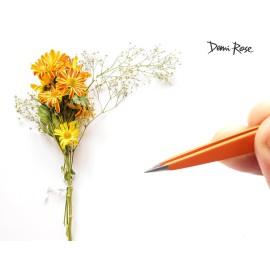 Demi Rose Professional Stainless Steel Eyebrow Tweezers - Precision Non Slip Grip Needle Nose Tweezers for Ingrown Hair Removal