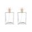 YORROR 2 Pcs Clear Glass Perfume Atomizer, 100ml Empty Refillable Spray Bottle for Men and Women, Portable Fragrance Fine Mist Spray Bottle Dispenser for Travel (Gold)