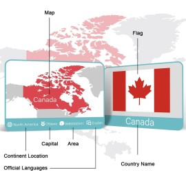 244PCS Countries of The World Flags Flash Cards Country Continent Capitals Population Country Flag Geography Educational Cards Game Gift for Kids Family & Adults All Countries Flags of The World