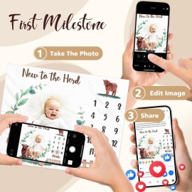 Gicoherero Highland Cows Baby Monthly Milestone Blanket Scotland Photo Prop Month Blanket Growth Chart Gift Ideas for Newborn Boy Girl Nursery Dcor Baby Shower 40 X 50