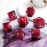 Matt Red DND Metal Dice, DNDND 7 PCS Heavy Metallic D&D Dice Set with Gorgeous Gift Case for Dungeons and Dragon Tabletop Game (Matte Red with White Flower)
