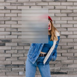 Invisibility Shield - 17x13, Sturdy Shield with Lenticular Sheet & Transparent Acrylic Handle bar for Prank, Science, Magic, Illusion, Hiding, Cover for Hunting, Games, Real Invisible Effect